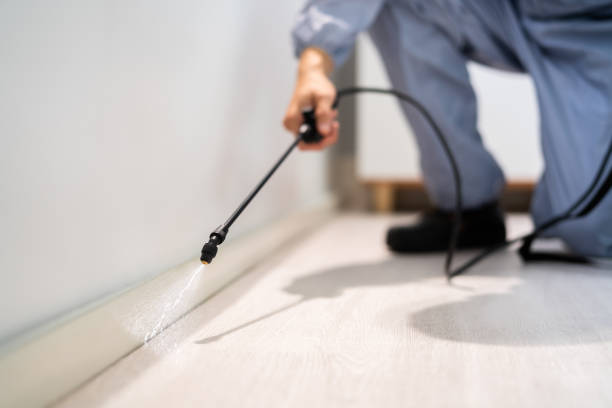 Licensed Pest Control service in McMinnville, OR - Show Me Pest Control