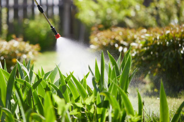 24/7 Emergency Wasp Removal experts in McMinnville, OR