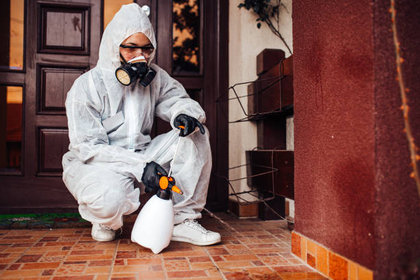 Reliable Wasp Removal contractor in McMinnville, OR by Show Me Pest Control