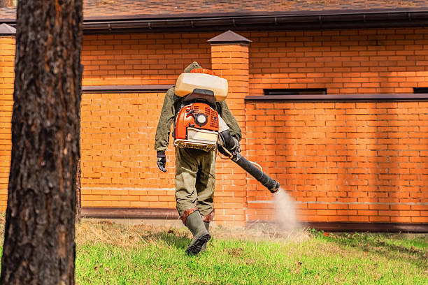 Top rated local Wasp Removal specialists in McMinnville, OR